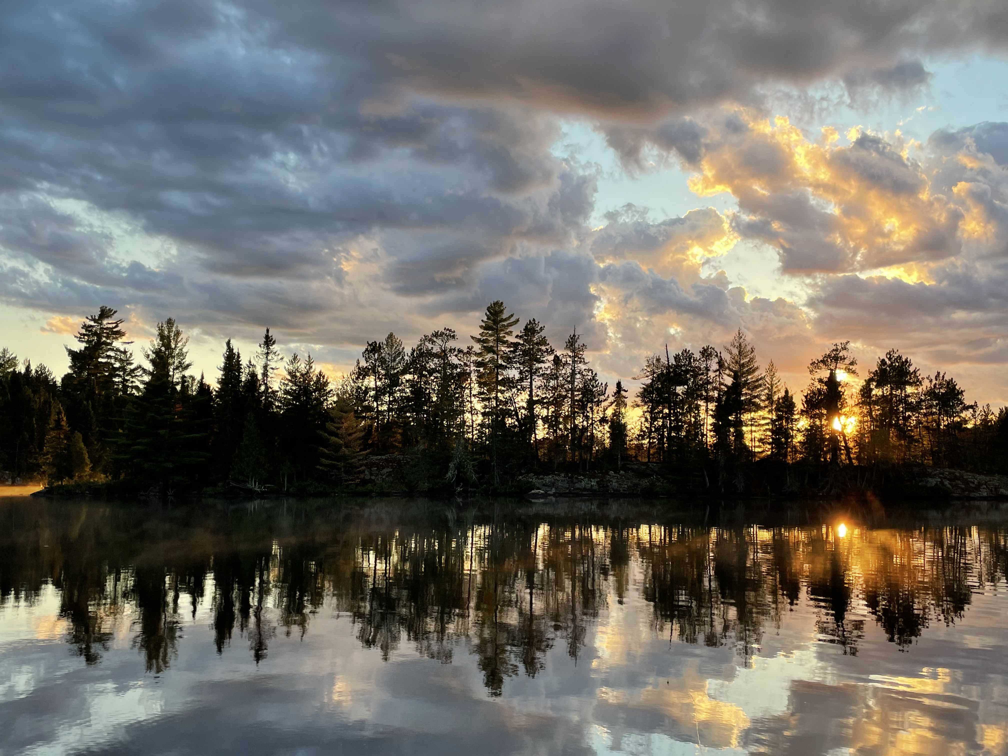 A vibrant sunrise with golden light reflecting off a calm lake and a silhouette of pine trees in the Canadian wilderness.