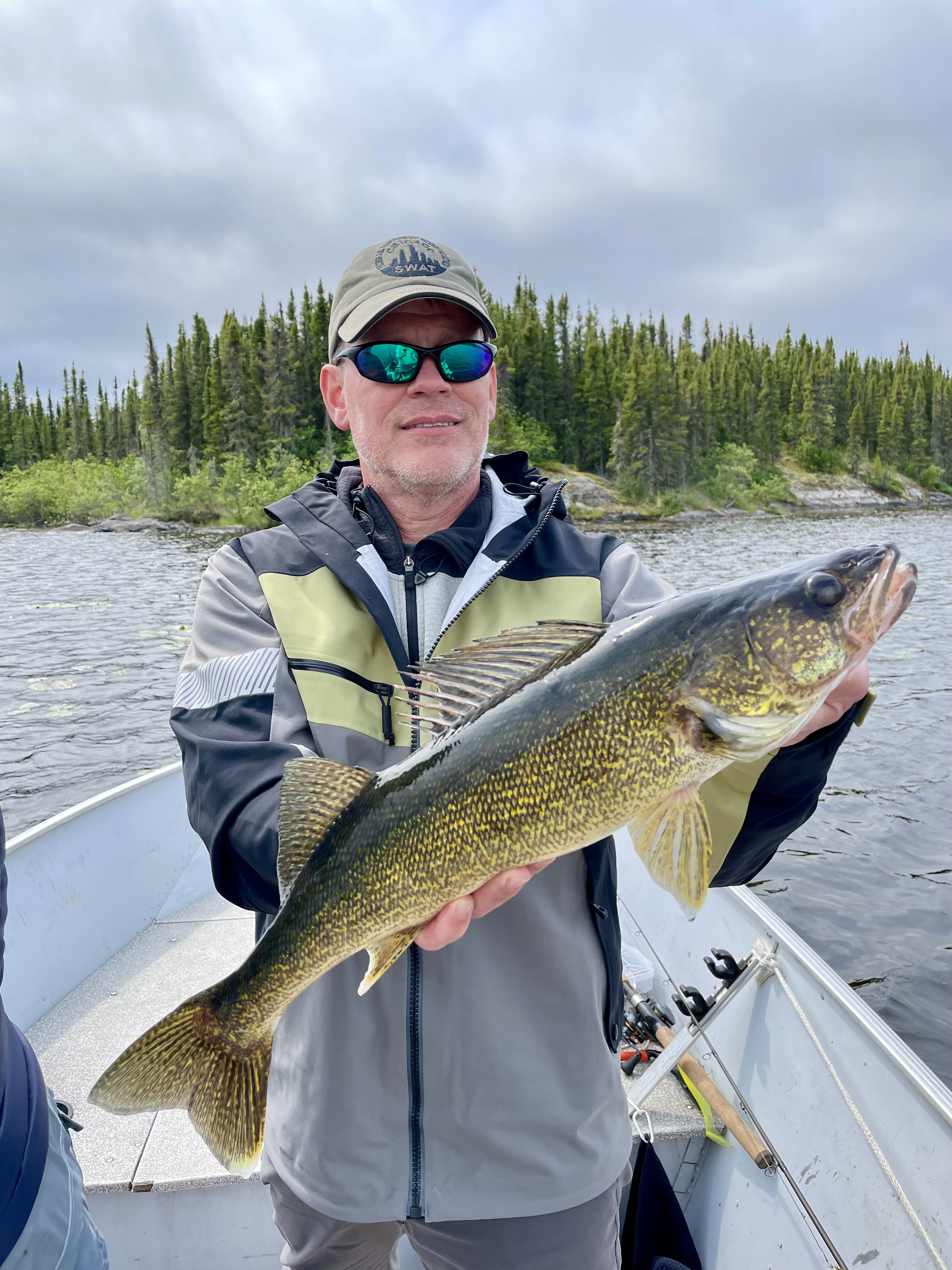 A fisherman in a boat holds up a large, golden-scaled Walleye fish against a backdrop of pine trees and a cloudy sky.