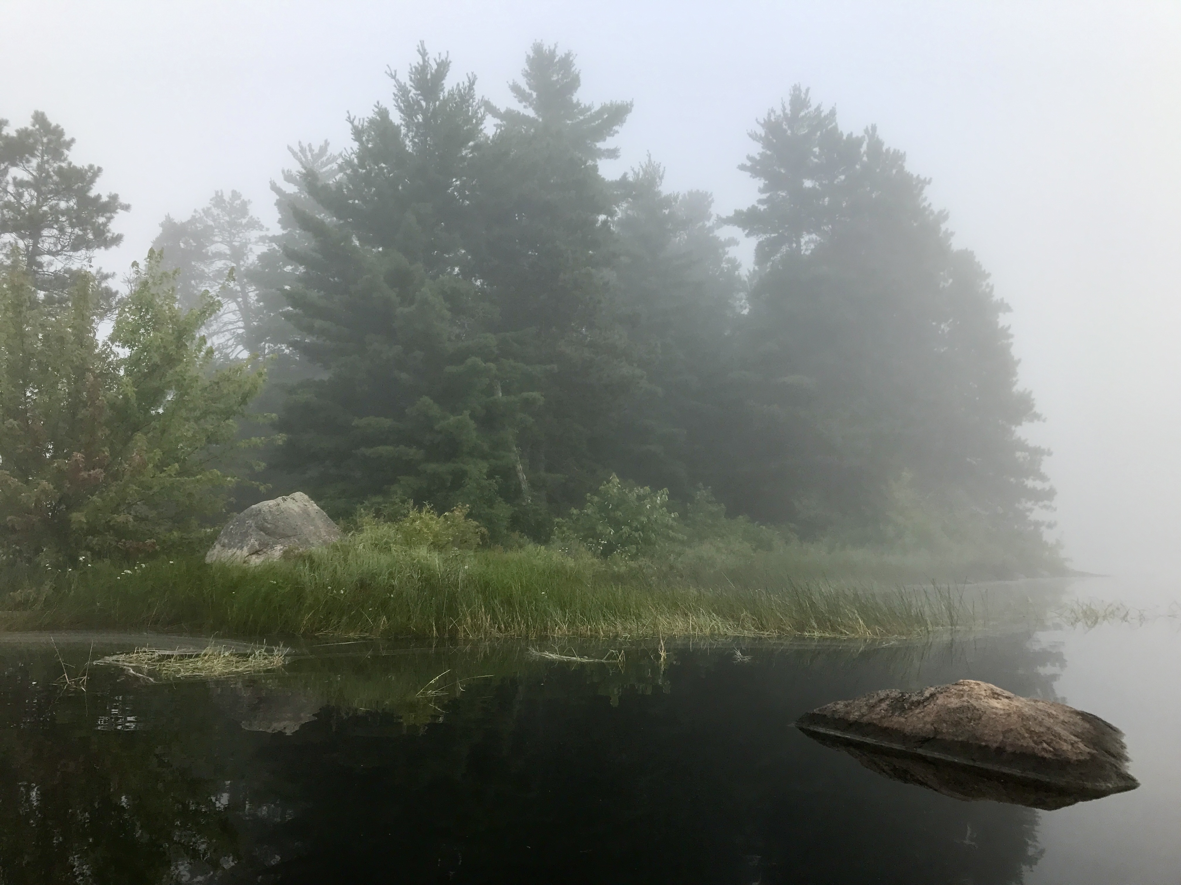 Thick fog blankets a pine forest shoreline and calm lake water with rocks in the foreground.