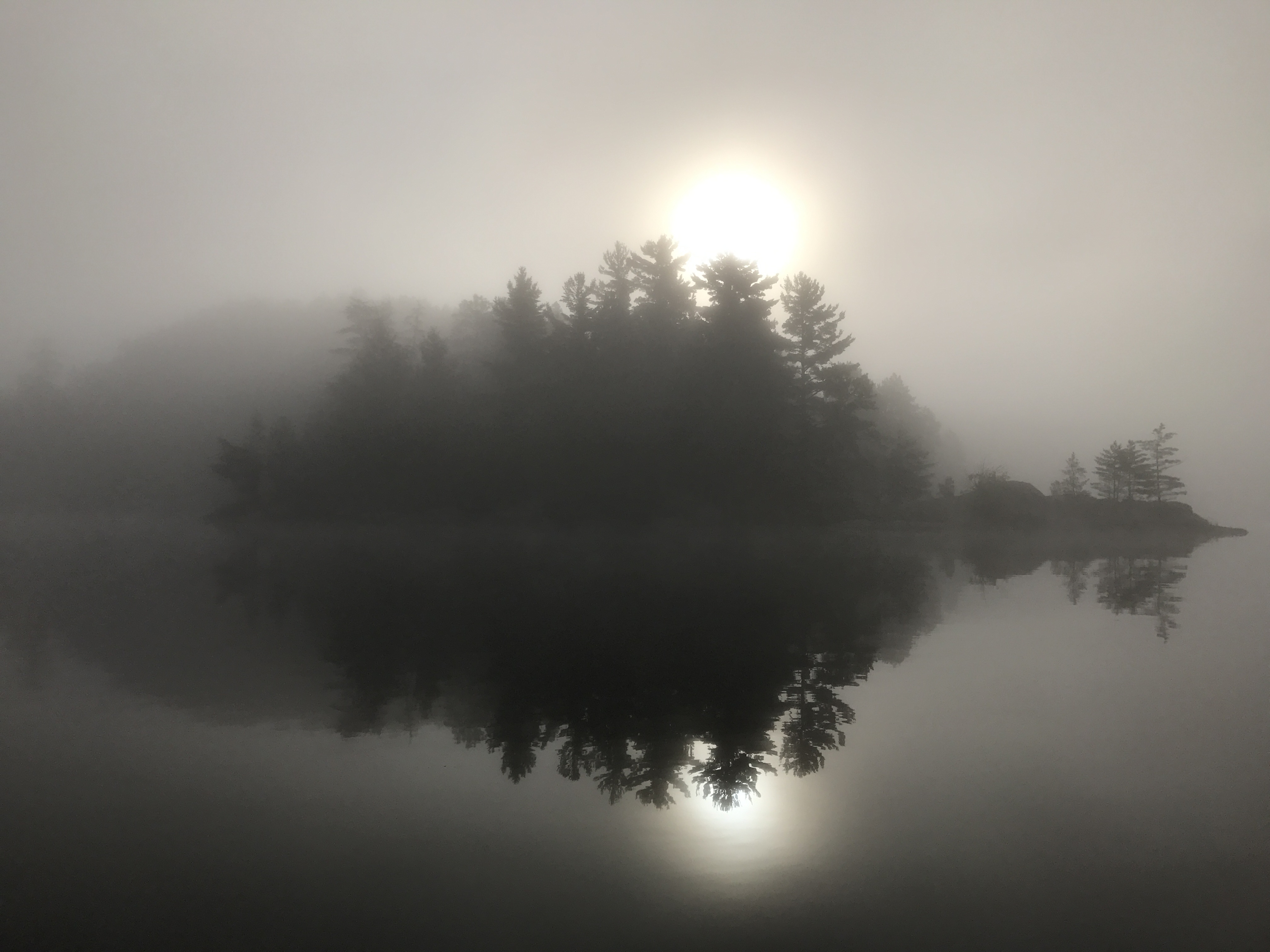 Silhouetted pine trees on an island reflected in a calm, foggy lake with a glowing sun obscured by mist.