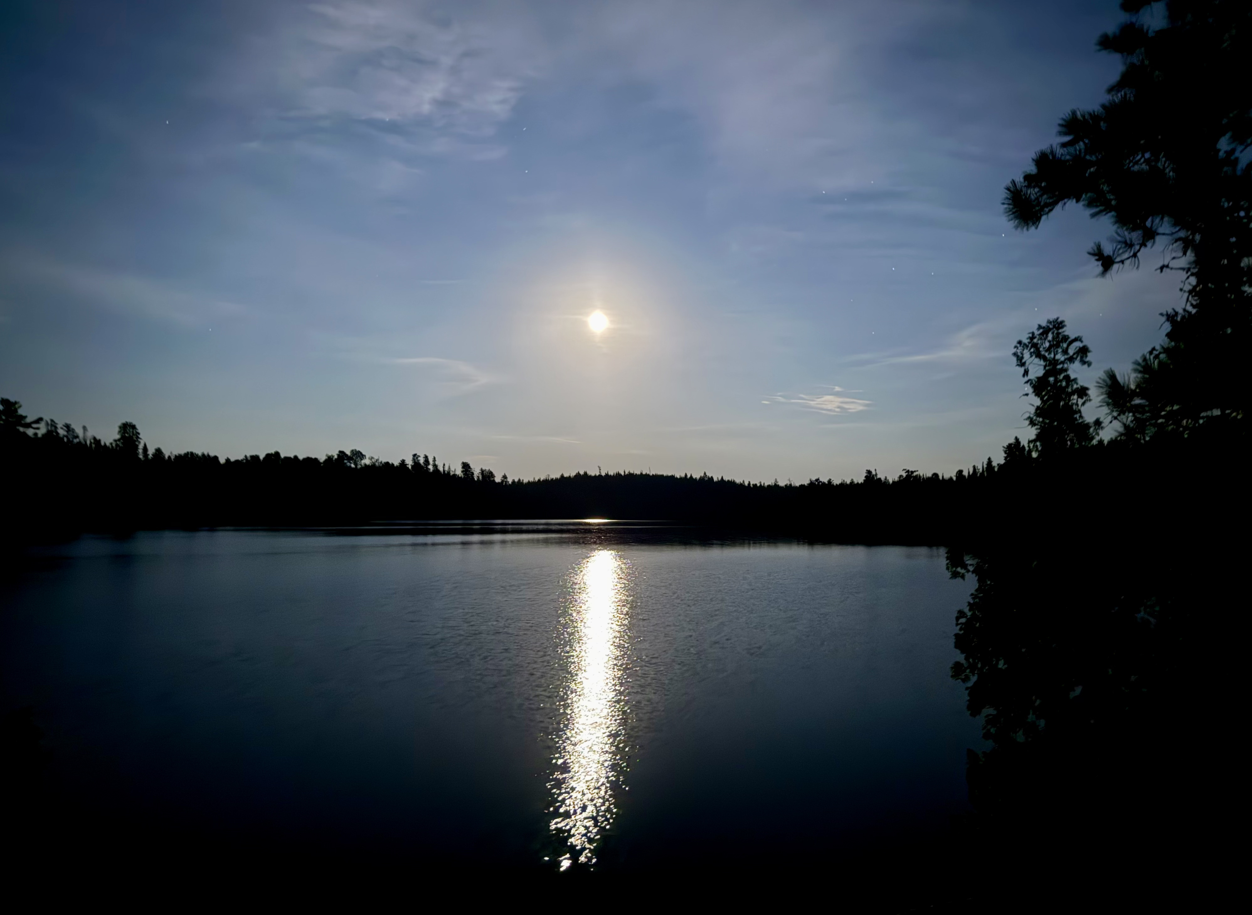 Full moon reflecting on a calm lake at night with silhouetted trees in the foreground and background.