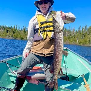 A fisherman in a boat holding a large Northern Pike vertically against a backdrop of blue sky and evergreen forest.