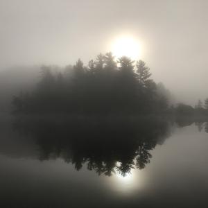 Silhouetted pine trees on an island reflected in a calm, foggy lake with a glowing sun obscured by mist.