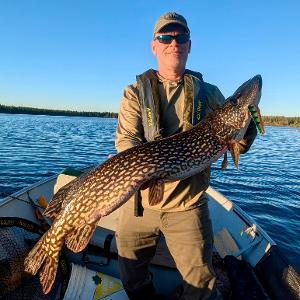 A fisherman in a boat holding a massive Northern Pike with a Doctor Spoon in its mouth on a calm lake under a clear blue sky.