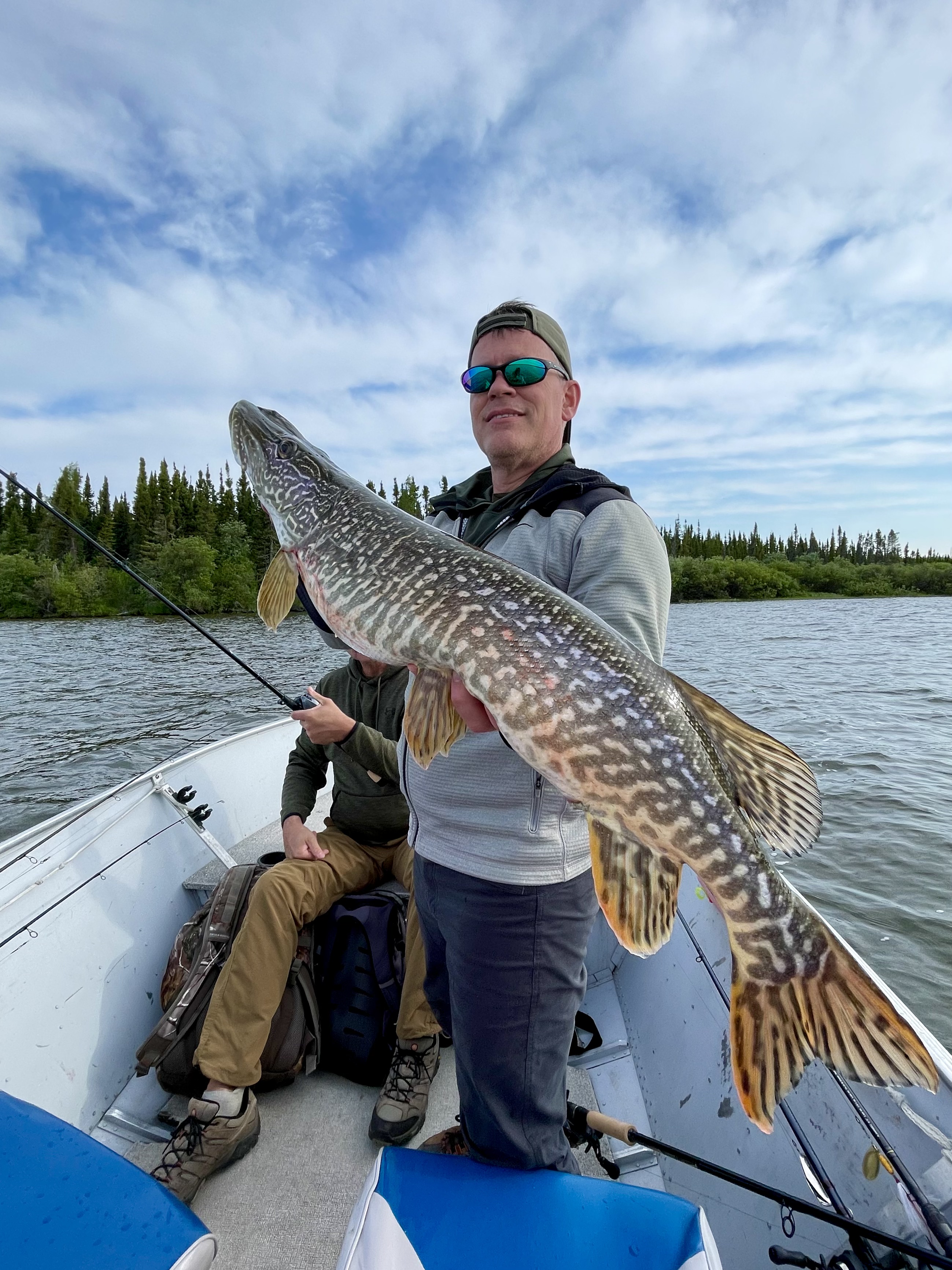 An angler in a boat holds up a massive Northern Pike caught on a remote Canadian lake.