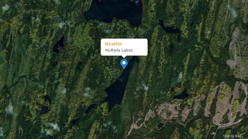 Map preview of the lake and surrounding area