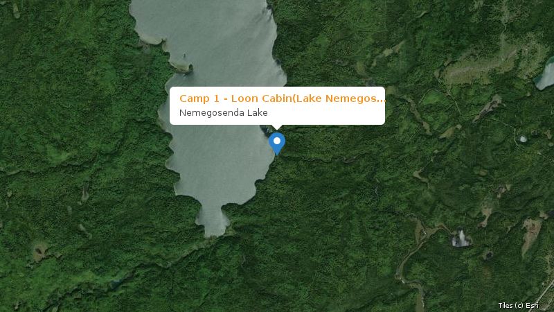 Map preview of the lake and surrounding area