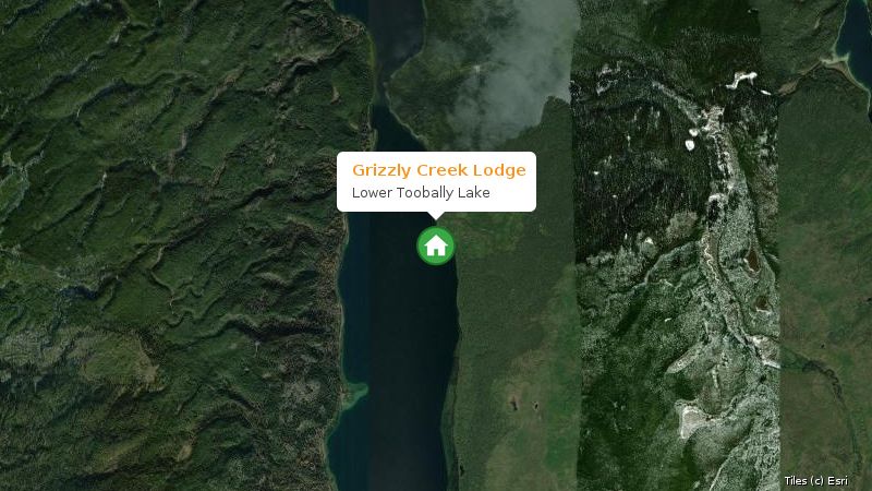 Map preview of the lake and surrounding area