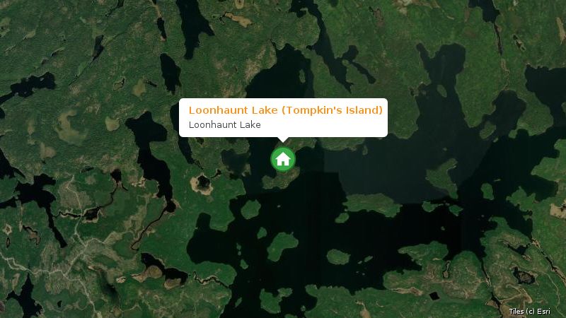 Map preview of the lake and surrounding area