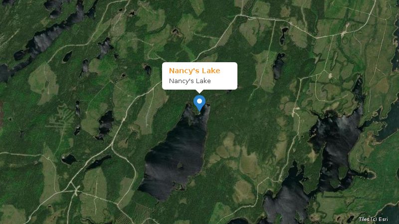 Map preview of the lake and surrounding area