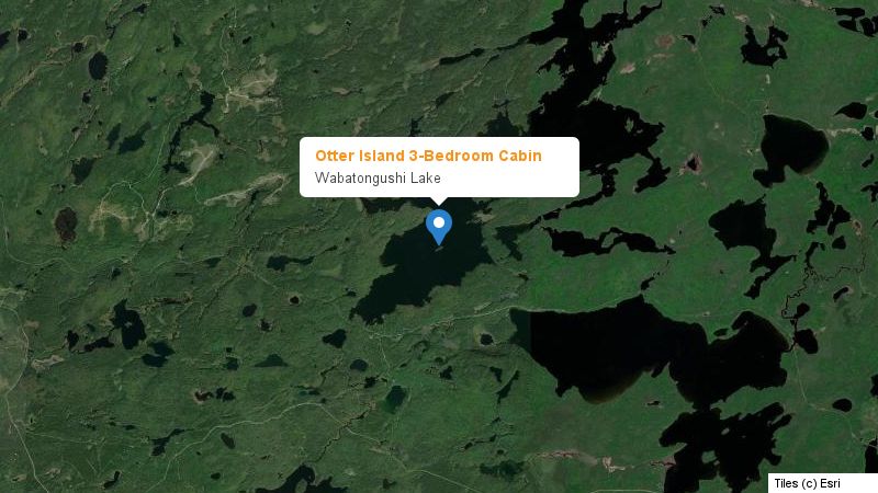 Map preview of the lake and surrounding area