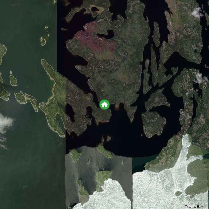 Satellite map of Arctic Lodges lodges and air base