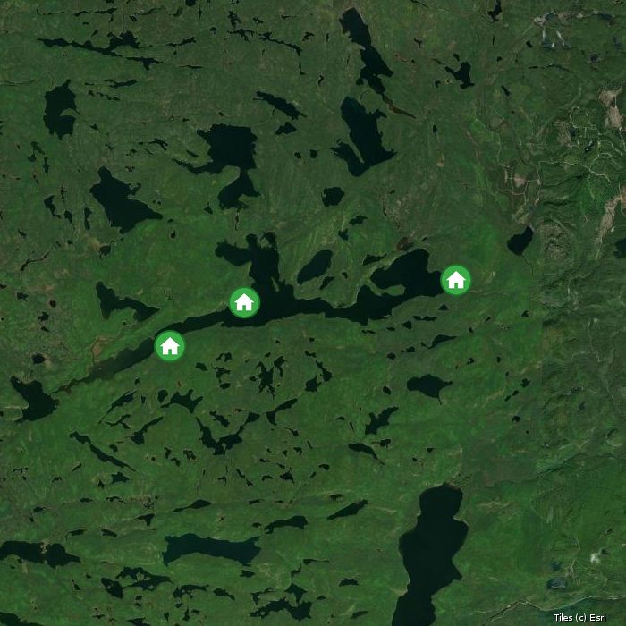 Satellite map of Blue Fox Camp lodges and air base