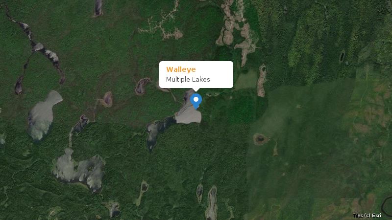 Map preview of the lake and surrounding area